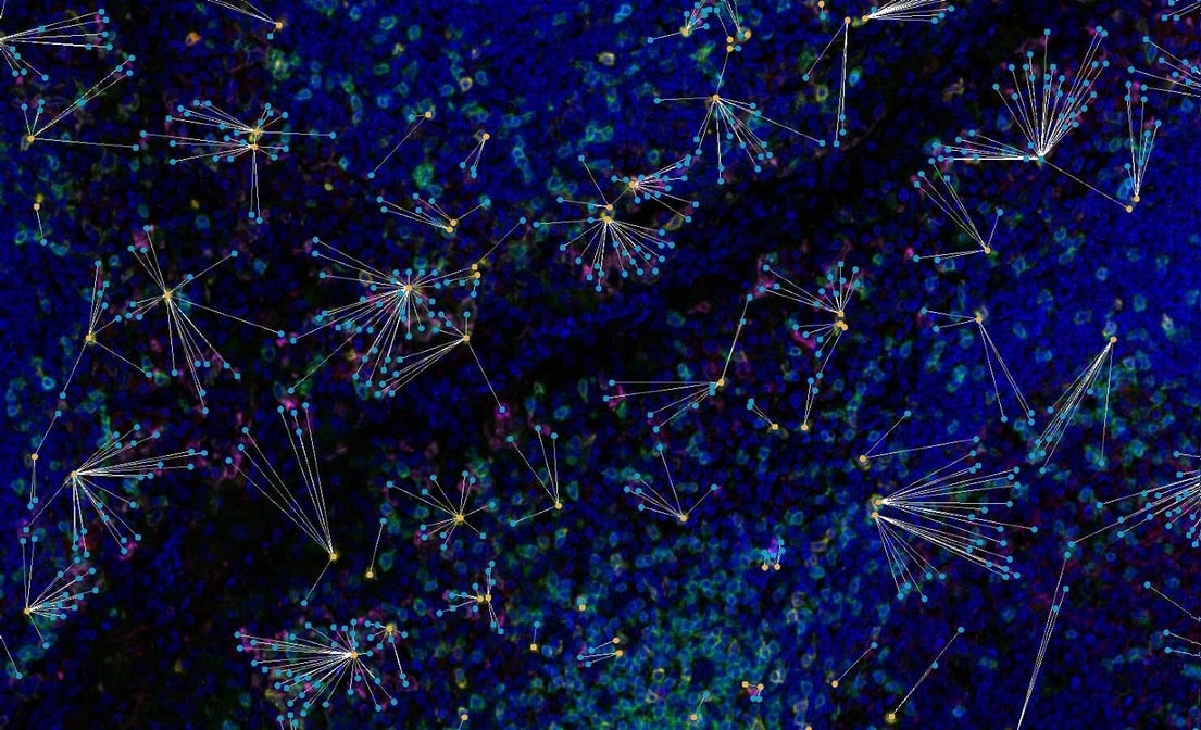 Multiplex Immunofluorescence | Precision for Medicine